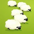 Compte Moutons